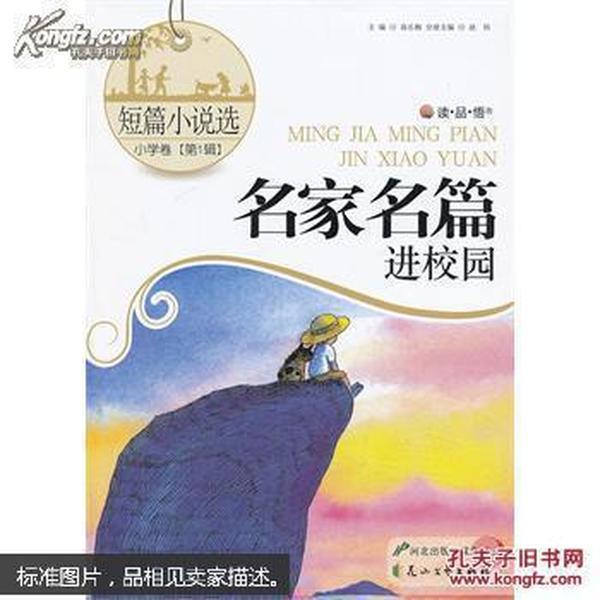 救援小蝙蝠