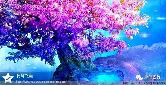 春运启幕，常州国际机场节前客流高峰预计为2月7日